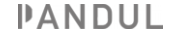 logo_pandul